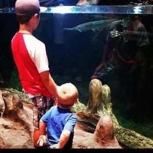 Meet your Posher, Ian